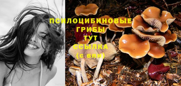 героин Няндома