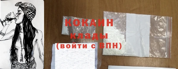шишки Баксан