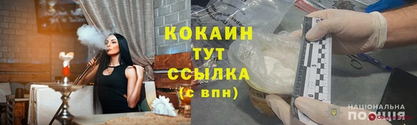 шишки Баксан