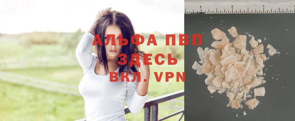 шишки Баксан