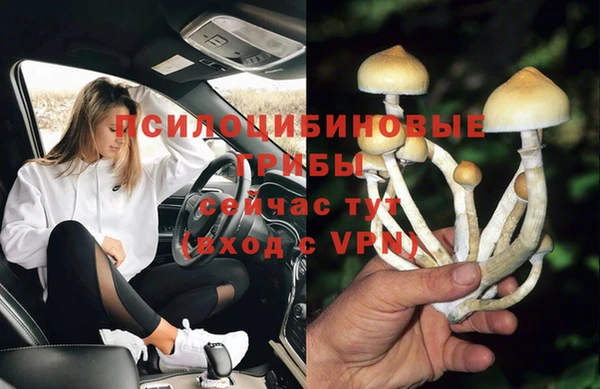 шишки Баксан