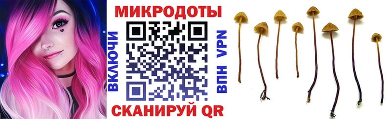 Псилоцибиновые грибы Cubensis Минеральные Воды